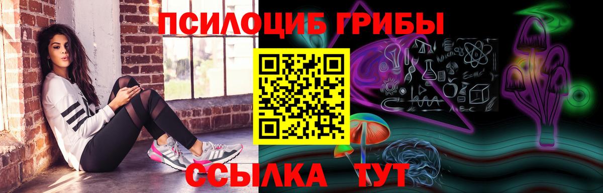 Псилоцибиновые грибы прущие грибы Кимры
